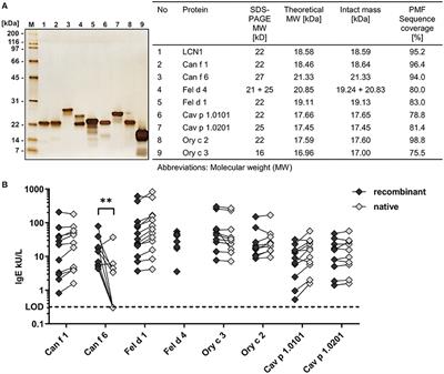 Mammalian derived lipocalin and secretoglobin respiratory allergens strongly bind ligands with potentially immune modulating properties